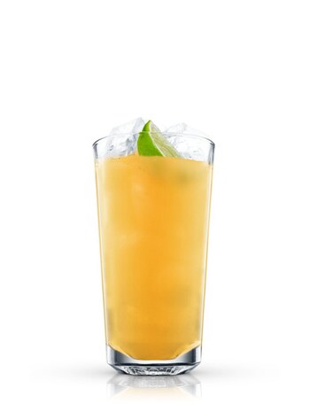 Drinks & Cocktails with Bitter Lemon | Absolut Drinks