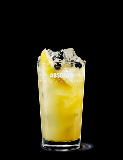 Absolut Kurant Nordic Recipe | Absolut Drinks