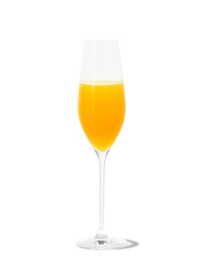 mimosa against white background