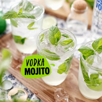 vodka mojito sidebar image