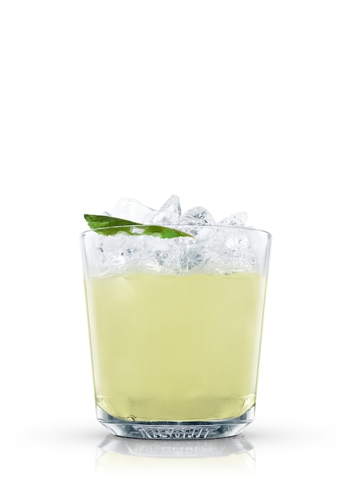 absolut citron julep against white background