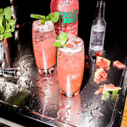 absolut watermelon fizzy punch in environment