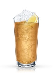 Drinks & Cocktails with Ginger Ale | Absolut Drinks