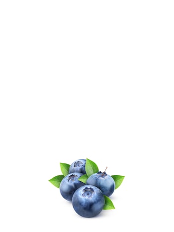 blueberry against white background