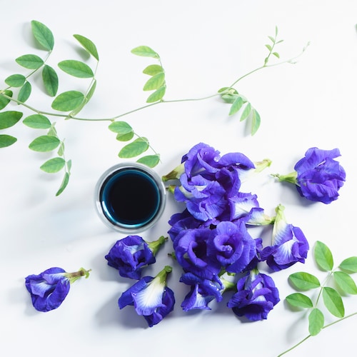 Bebidas e coquetéis com Extrato de flor de ervilha borboleta azul | Absolut  Drinks