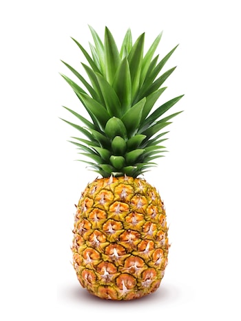 pineapple against white background