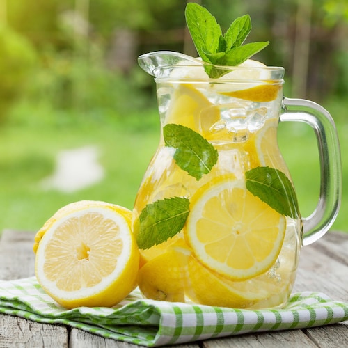 Bebidas cócteles con Limón Absolut Drinks