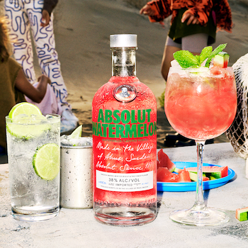 Watermelon Vodka Cocktail Recipe | Absolut Drinks